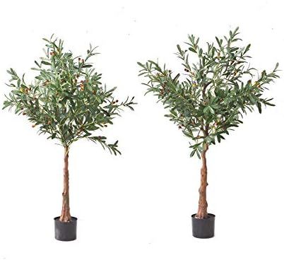 Tommino 51” 2-Pack Artificial Olive Tree in Pot Faux Silk Houseplant for Home Office Décor Pat... | Amazon (US)