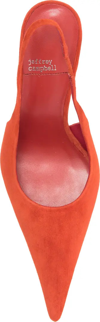 You Wish Slingback Pointed Toe Pump (Women) | Nordstrom