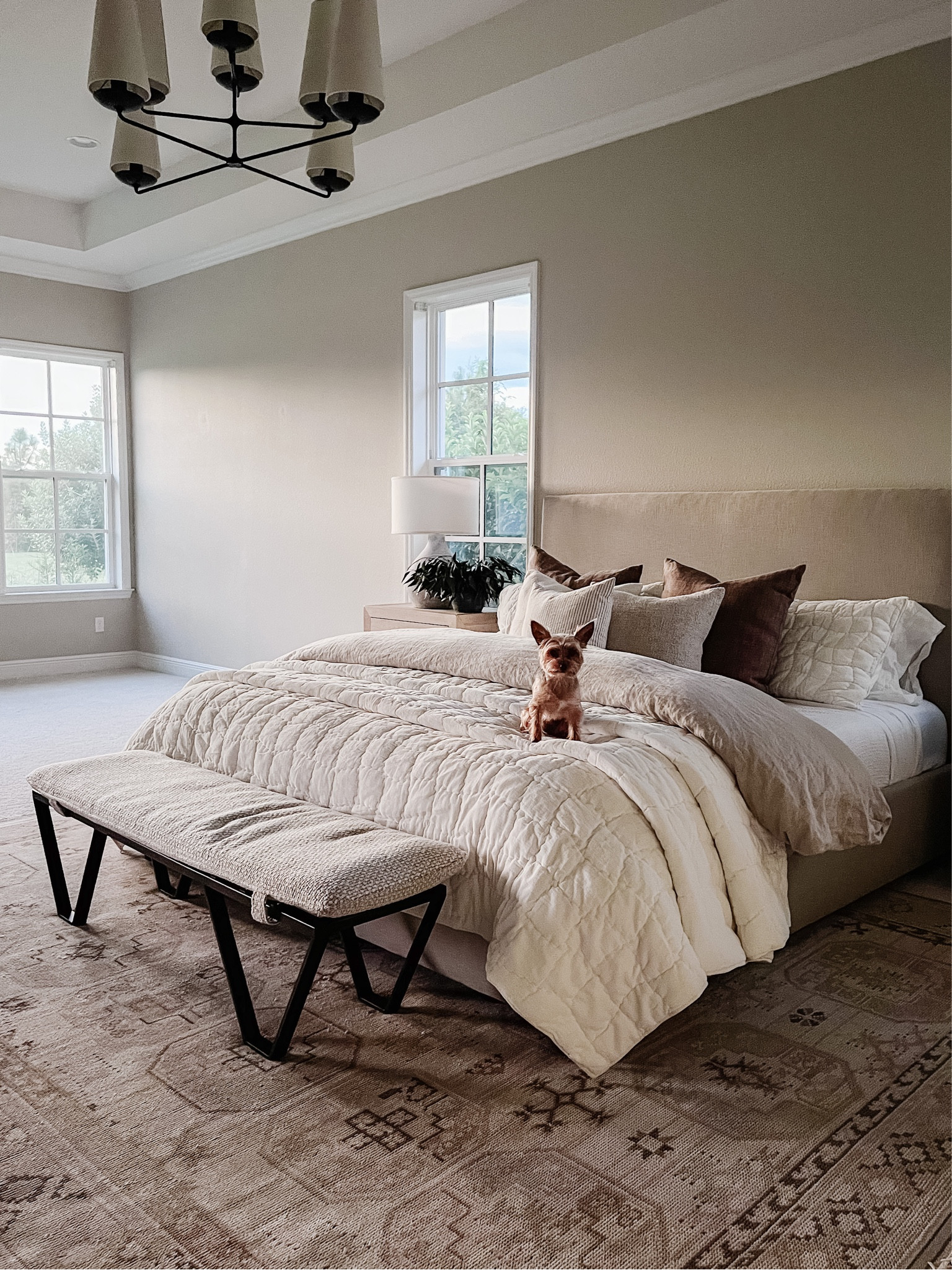 Adding some warm and cozy layers  bedding for fall!🍂

- cozy cloud quilt and king shams in ivory
- Belgian flax linen duvet and king shams in dark flax
- Belgian flax linen sheets in white
- waffle blanket in white
- Belgian linen throw pillow in bronze
- classic down feather pillows

#LTKhome #LTKSeasonal #LTKFind