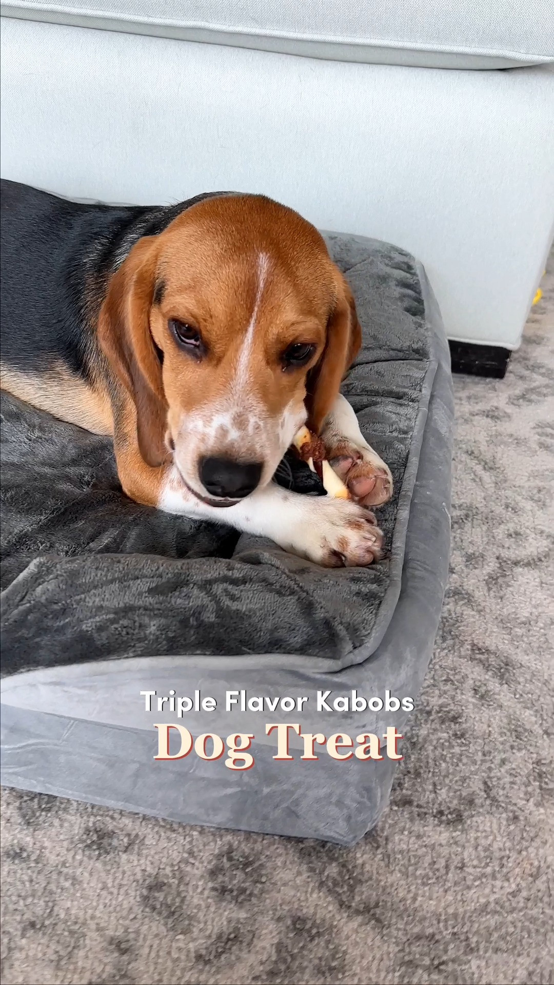 A perfect to give to new dog parents, puppy adoption celebrations, or your favorite pet lover! 🐕 The savory triple-flavor wrap satisfies your dog’s natural instinct to chew, helping to prevent destructive chewing around the house.

#LTKPets #LTKFinds #GiftInspo #GiftsForDogLovers #PetGifts #PuppyEssentials #DogStuff