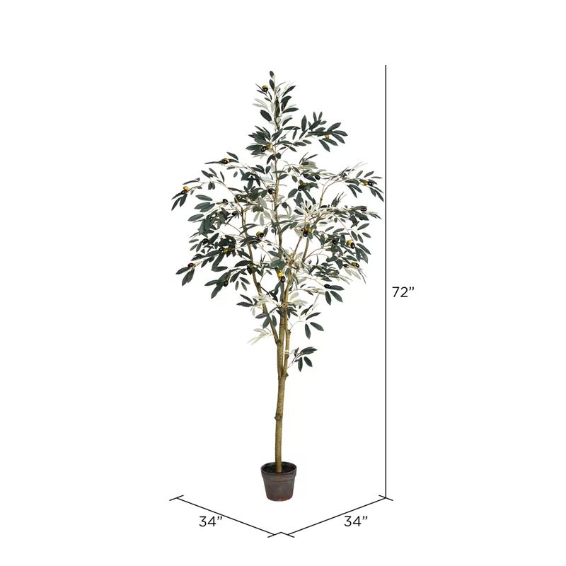 Artificial Potted Olive Floor Foliage Tree in Pot | Wayfair North America