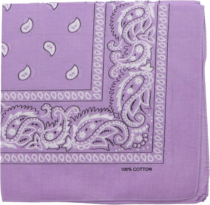 22 Inch Cotton Paisley Bandana | Amazon (US)