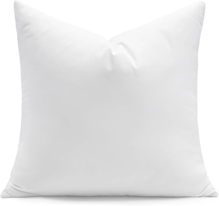 puredown\u00ae 20x20 Pillow Inserts, Feather Down Filled for Support, 1 Pack | Amazon (US)