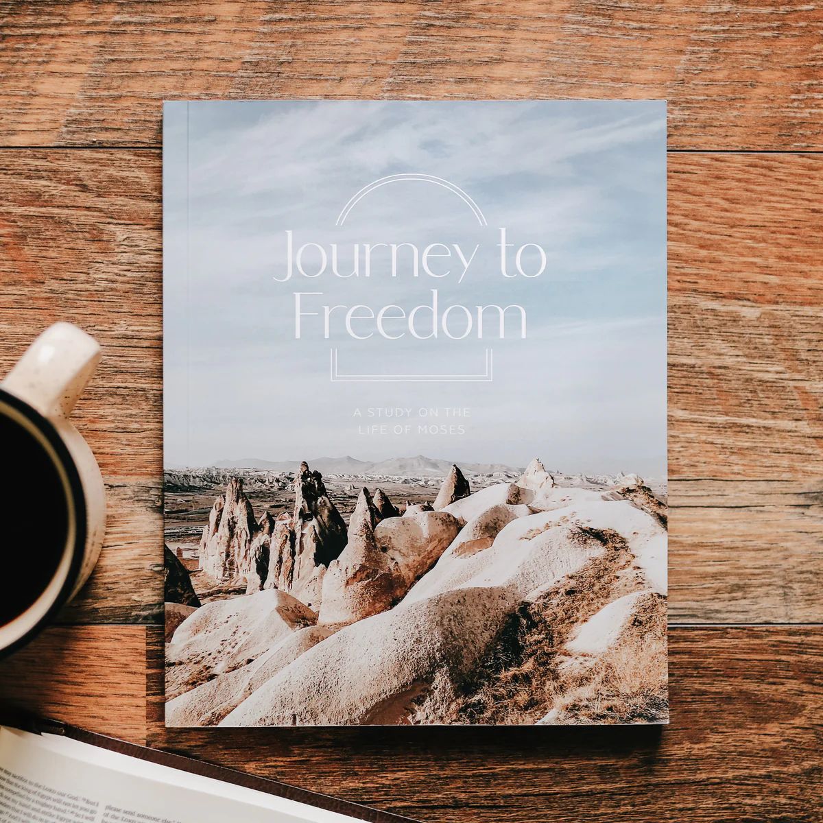 Journey to Freedom | The Life of Moses - Men | The Daily Grace Co.