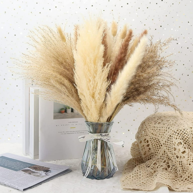 TSV Dried Pampas Grass Decor, 65 Pcs Natural Pampas Grass for Flower Arrangements Home Decor, Sof... | Walmart (US)
