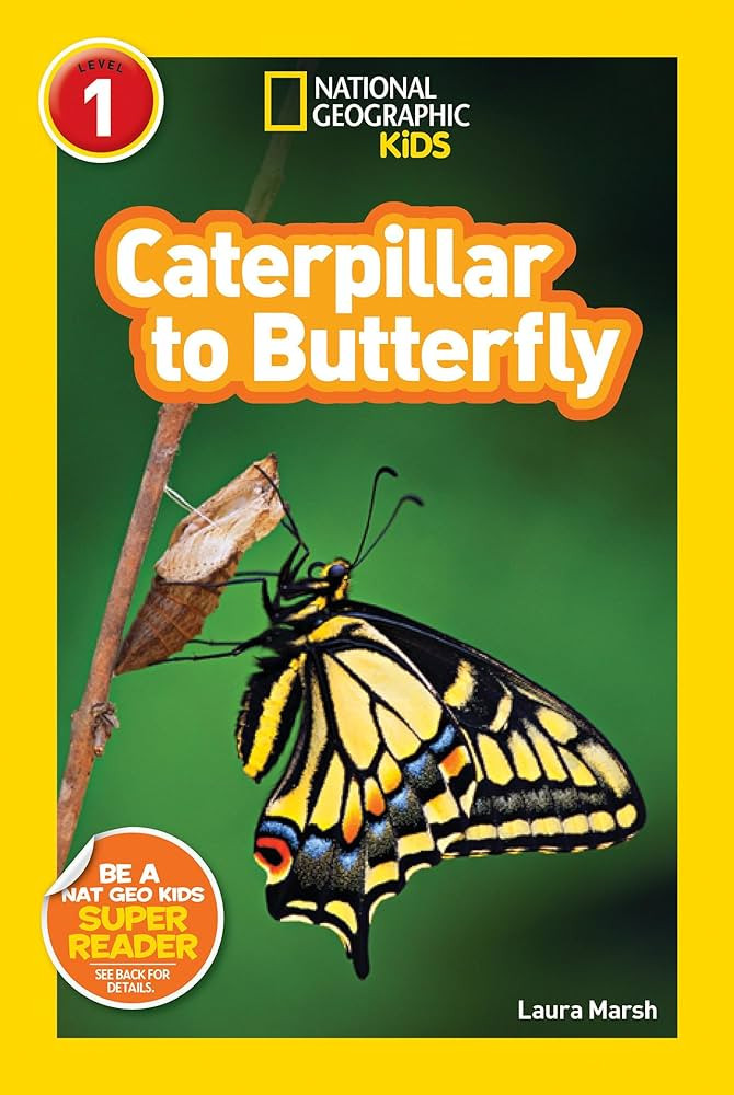 National Geographic Readers: Caterpillar to Butterfly | Amazon (CA)