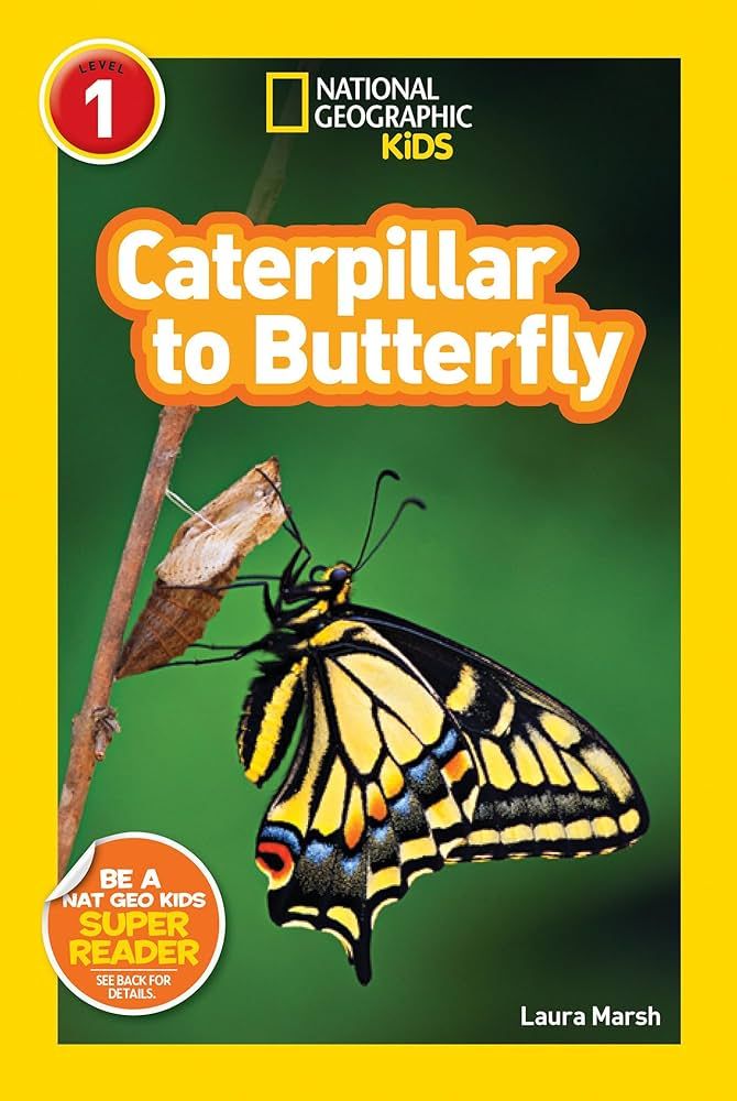 National Geographic Readers: Caterpillar to Butterfly | Amazon (CA)