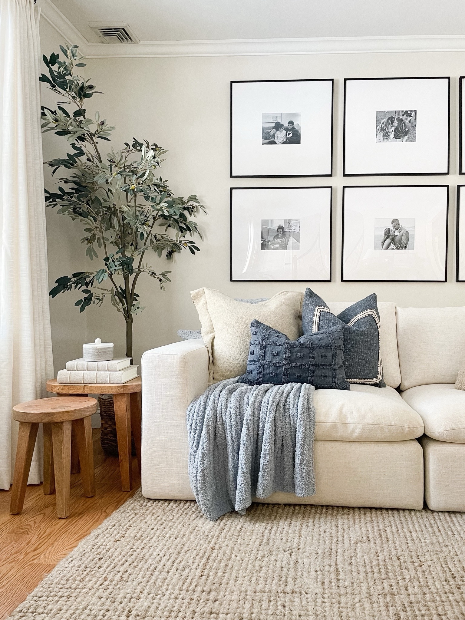 Olive tree, faux tree, throw pillows and blanket, gallery frame, pottery barn rug 

#LTKHome #LTKFindsUnder50 #LTKStyleTip