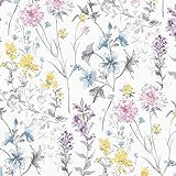 Laura Ashley Wild Meadow Multicolor Wallpaper | Amazon (US)