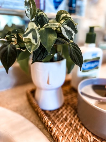 The cutest Walmart home finds plant pot, candle and organizers 

#LTKFind #LTKhome #LTKstyletip