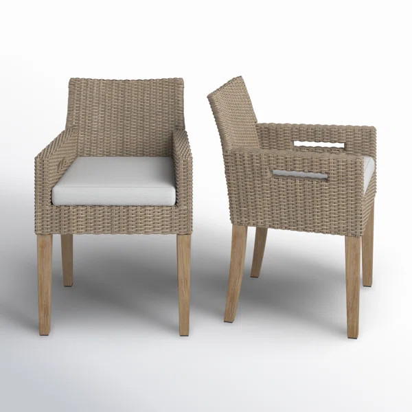 Set of 2 Fleur Outdoor Dining Armchairs with Cushion | Wayfair North America