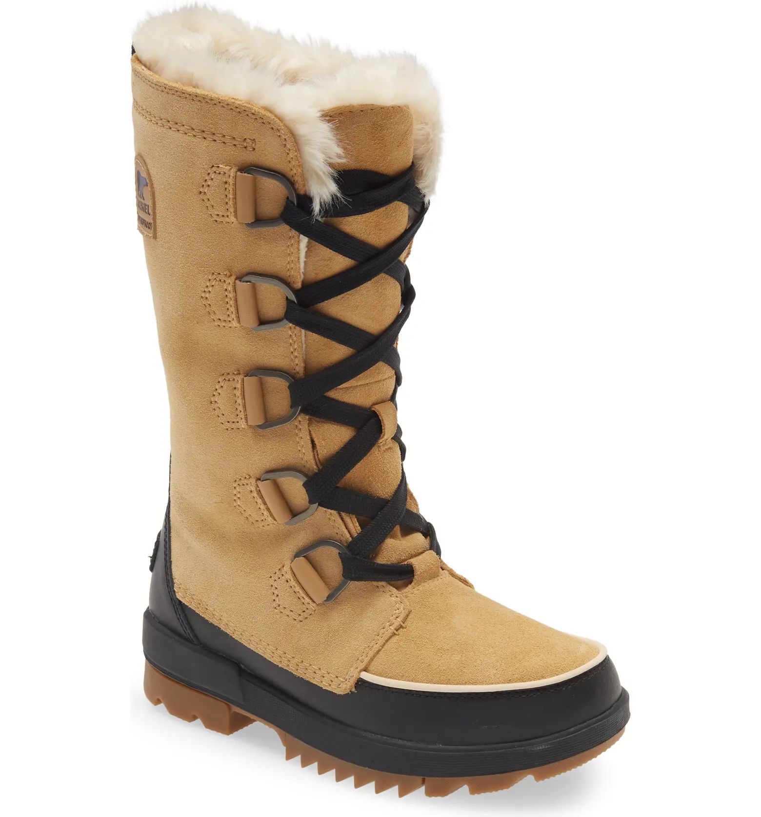 Tivoli IV Waterproof Tall Winter Boot | Nordstrom