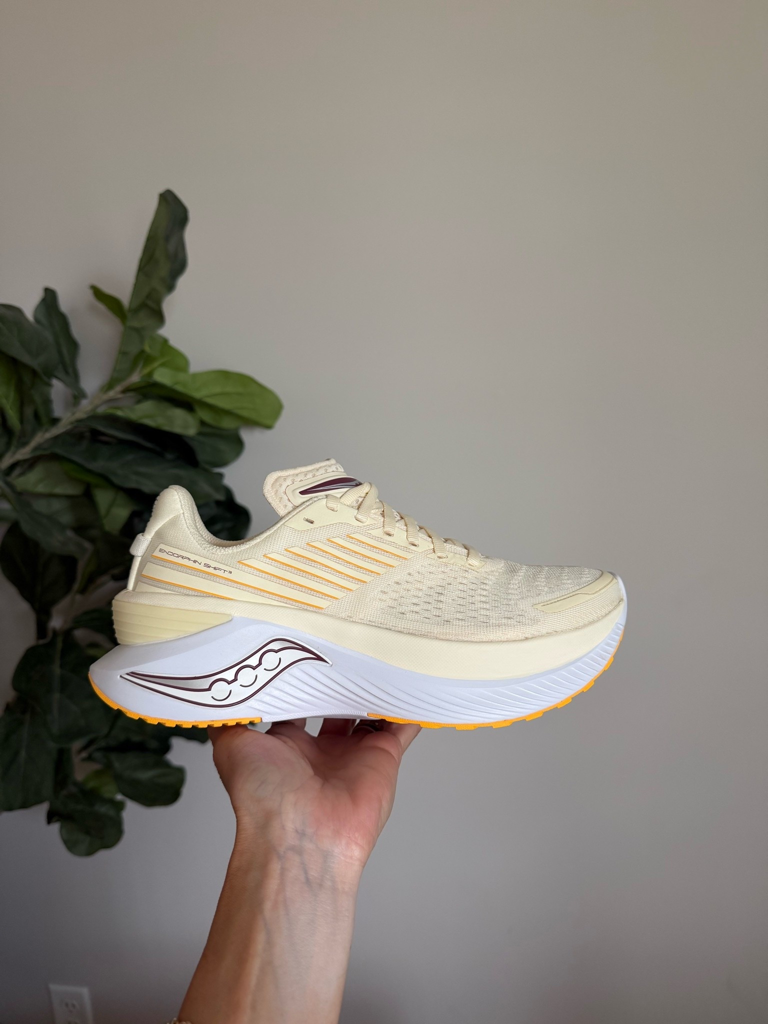 Amazon Saucony Women’s Sneakers

#LTKfitnessgoals #LTKmomlife #LTKActive