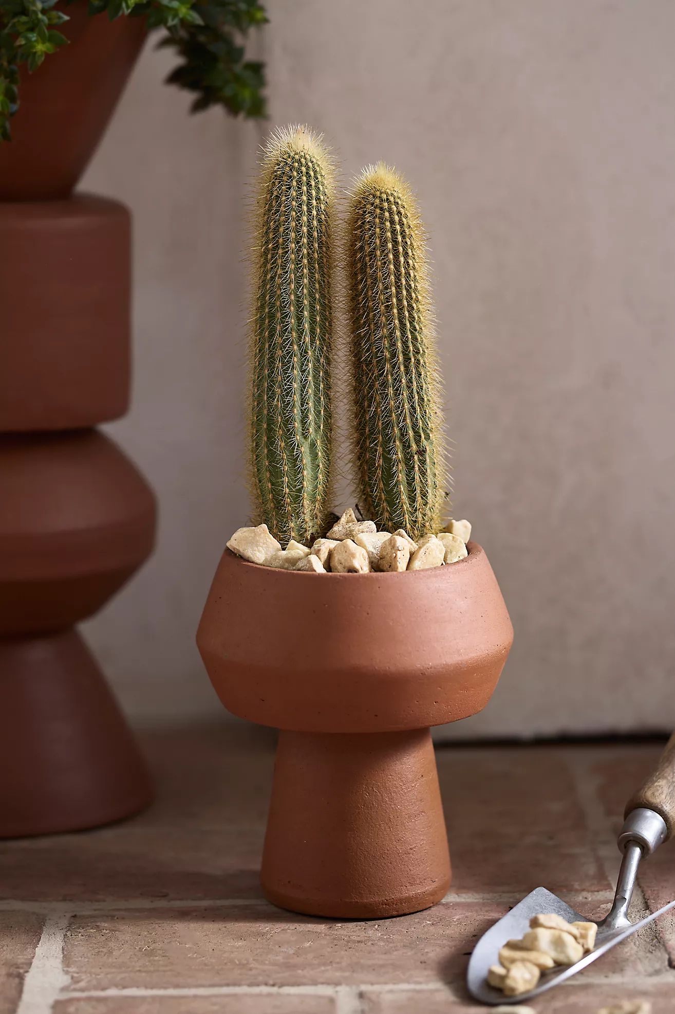 Pedestal Bowl Terracotta Planter | Anthropologie (US)