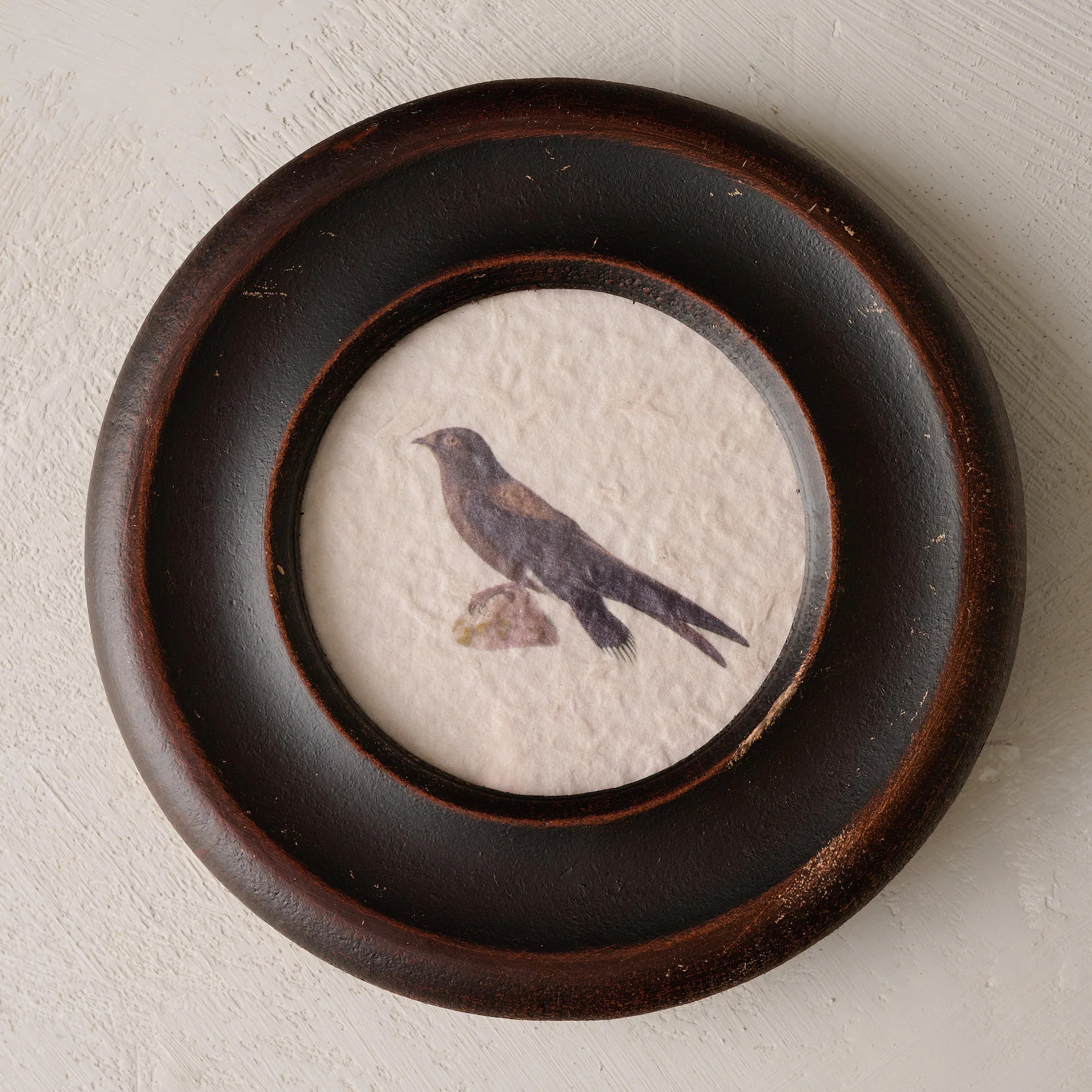 Vintage Framed Bird Print | Magnolia