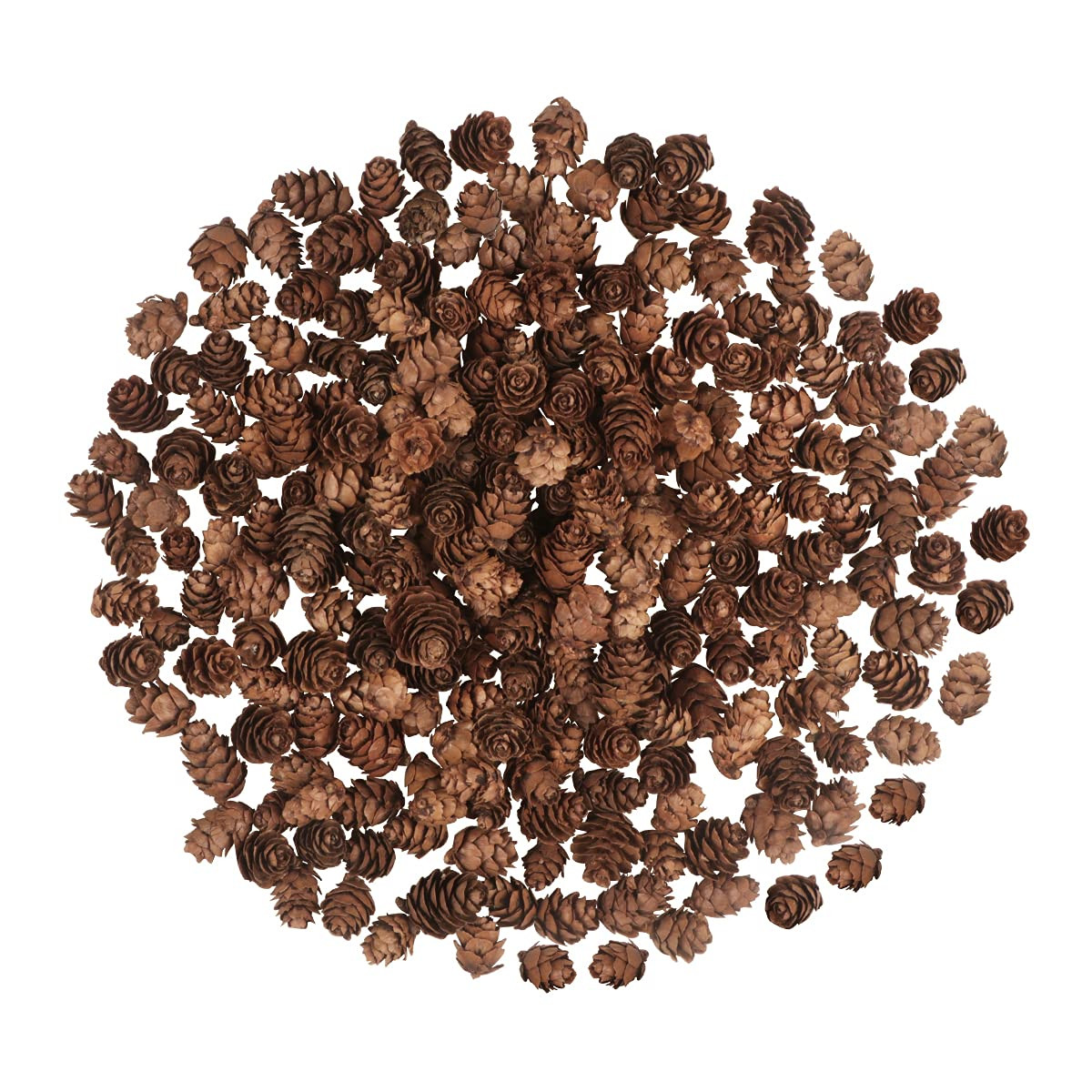 200PCS Christmas Natural Pine Cones Mini Fall Decorations Pinecones Ornaments Bulk Small Pine Con... | Amazon (US)