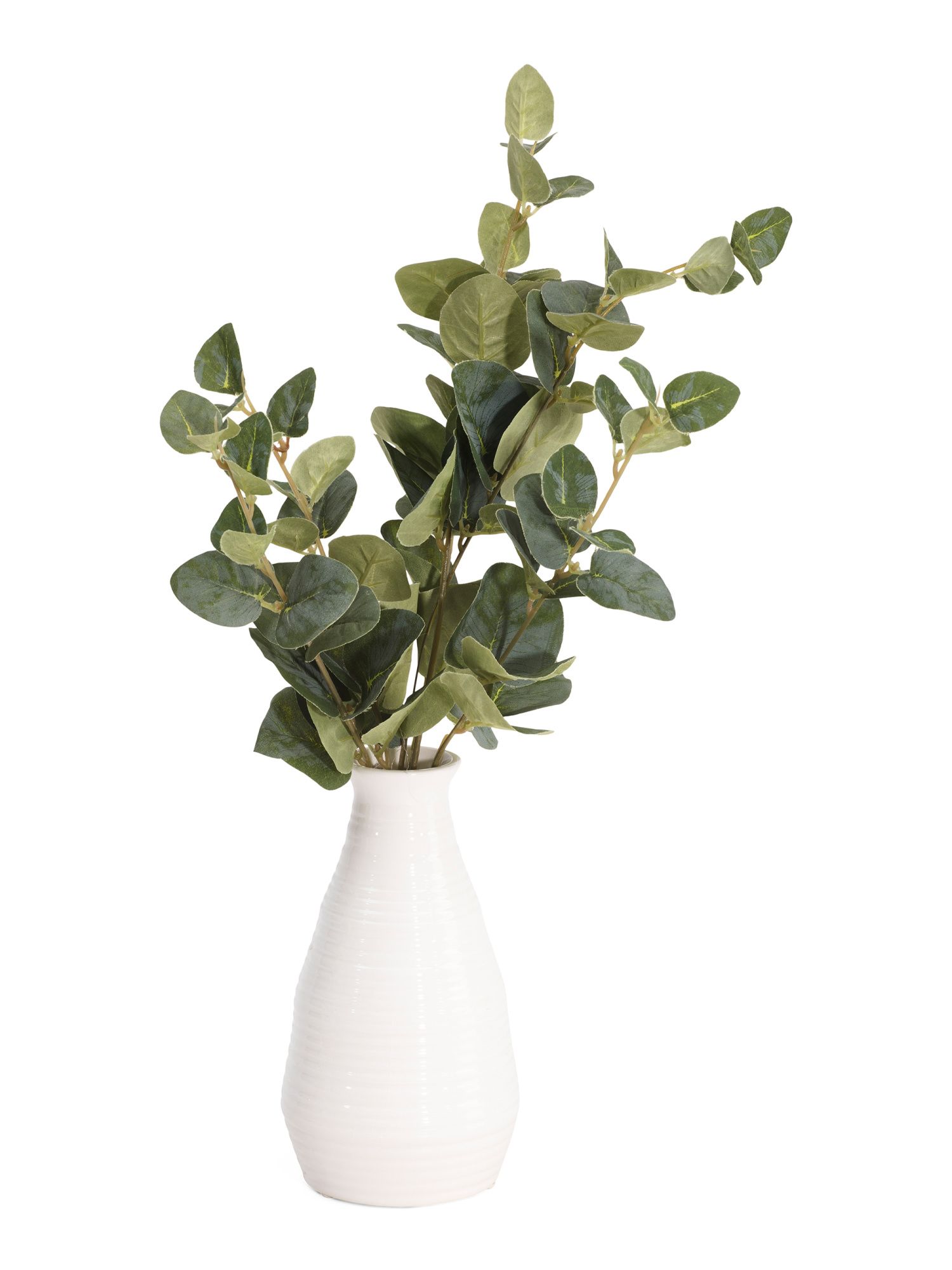 Eucalyptus In Fluted Vase | TJ Maxx