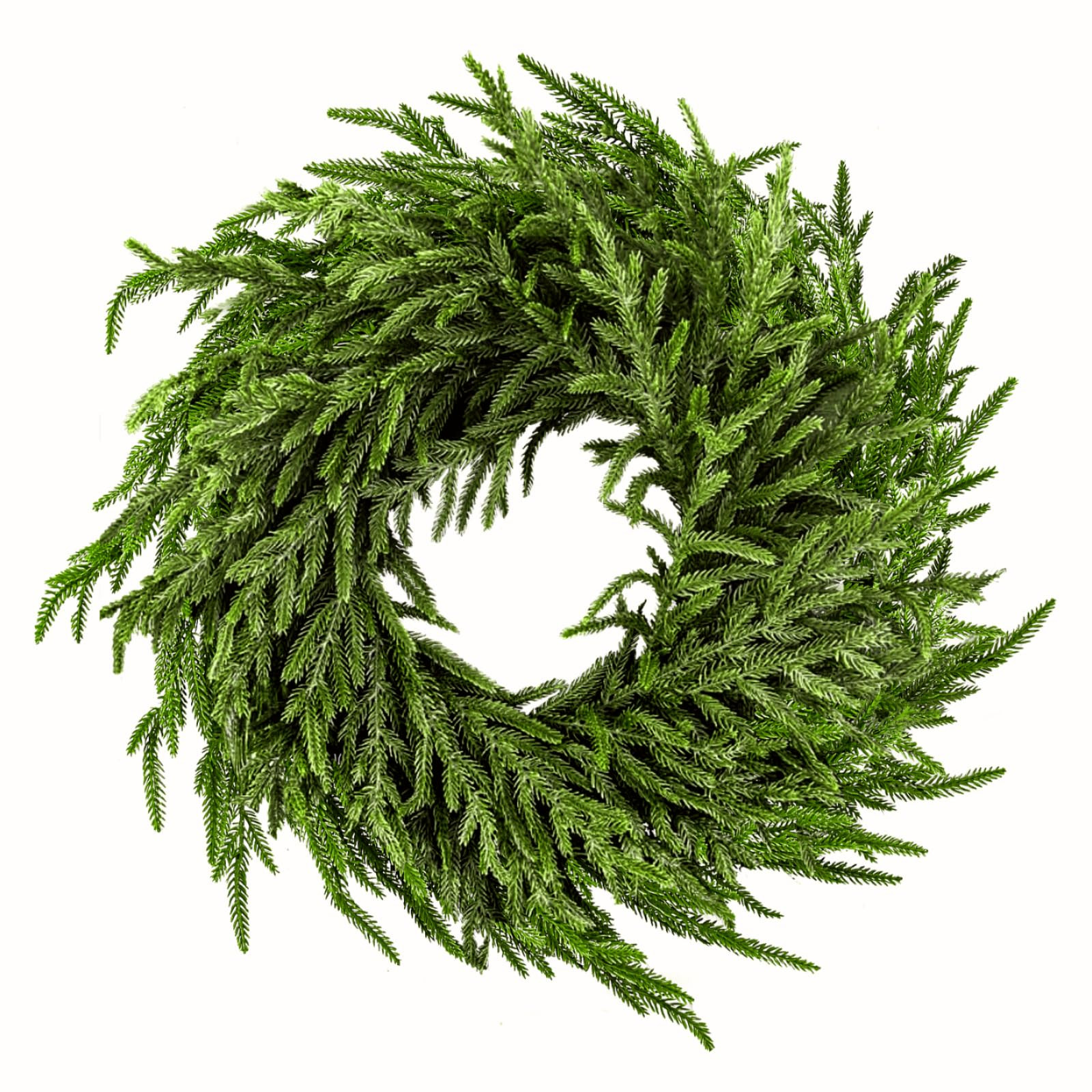 24" Norfolk Pine Wreath for Front Door, Real Touch Norfolk Pine Wreath Artificial Green Wreath Gr... | Amazon (US)