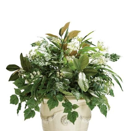 Outdoor Mixed Greenery & Queen Anne's Lace Urn Filler | Frontgate