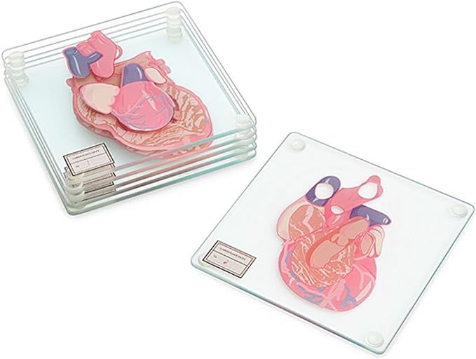 Anatomic Heart Specimen Coasters (Set of 6 pieces) | Amazon (US)