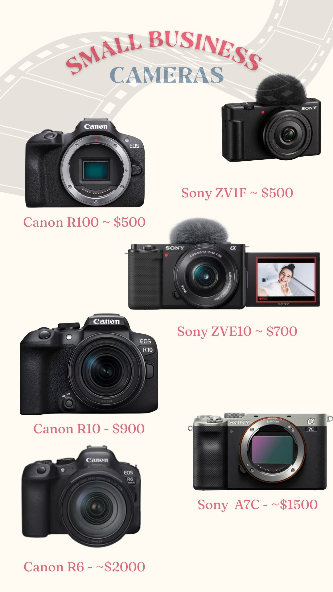 Sony and canon camera recommendations for a small business!