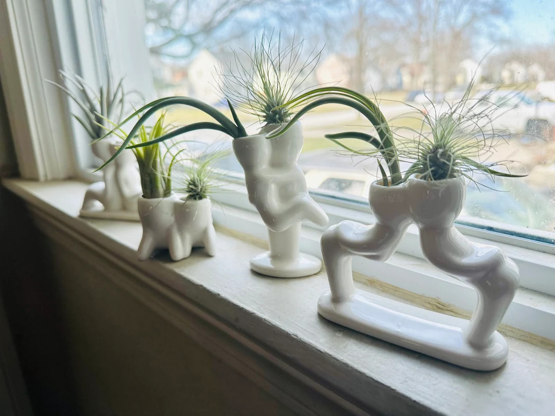 NEW! COUPLES Air Plant Holders - Ceramic | Etsy (US)