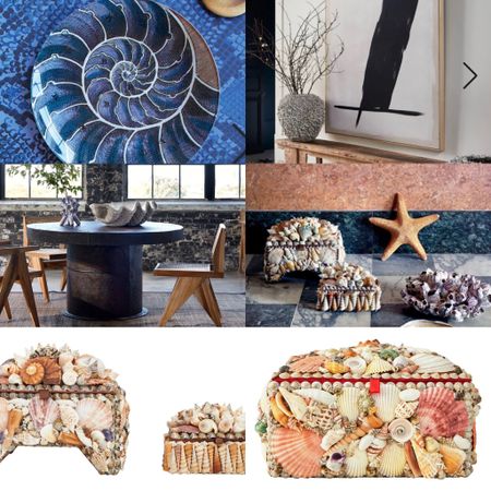 Bring home a bit of the beach with this summery collection of shells and seashore-inspired goods. 

#LTKGiftGuide #LTKSeasonal #LTKhome