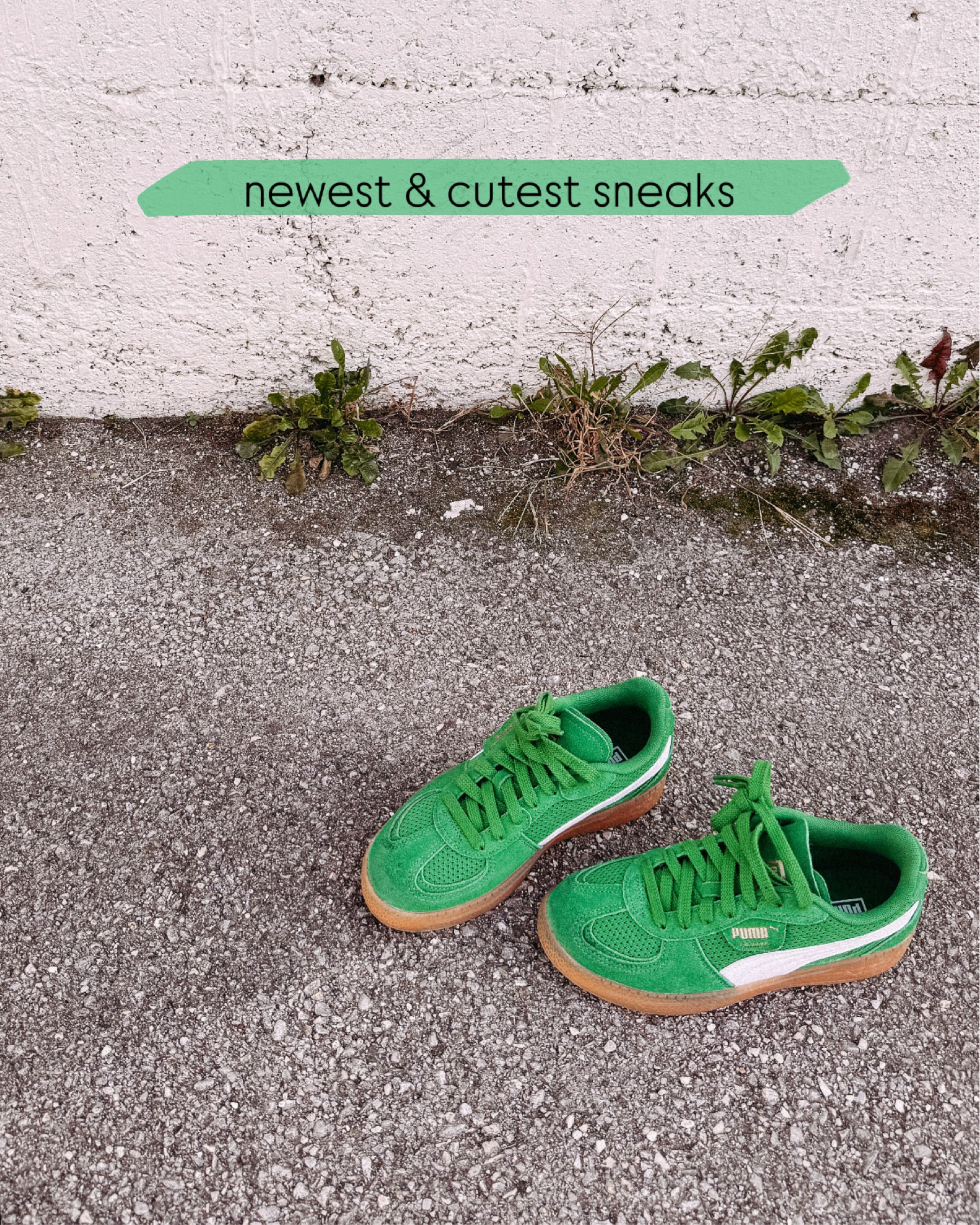 you knowwwww I had to !!!!! the green and the gummy sole !!! reallllly hurt me to not get the other two colors too but #selfcontrol hahaha 

#LTKSeasonal #LTKShoeCrush #LTKFindsUnder100