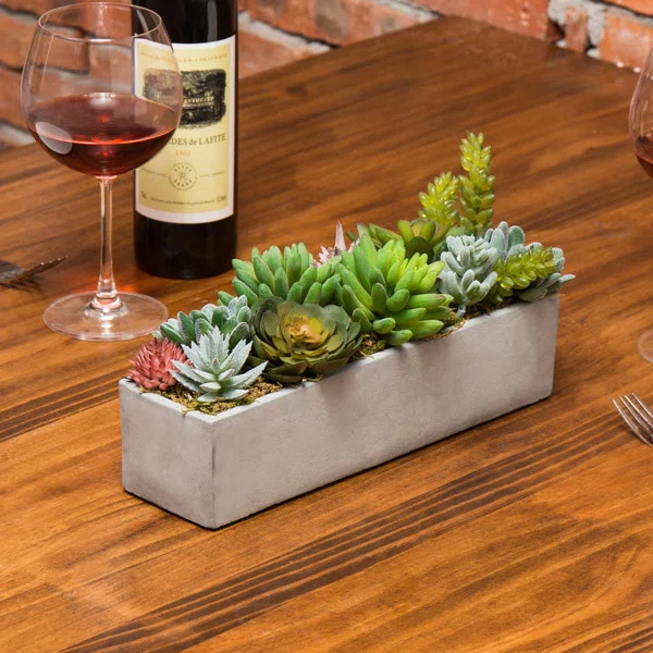 6.1'' Faux Succulent Plant in Cement Pot | Wayfair North America