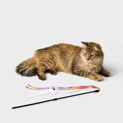 17.5" Ghost Cat Wand Teaser Toy - Boots & Barkley™ | Target