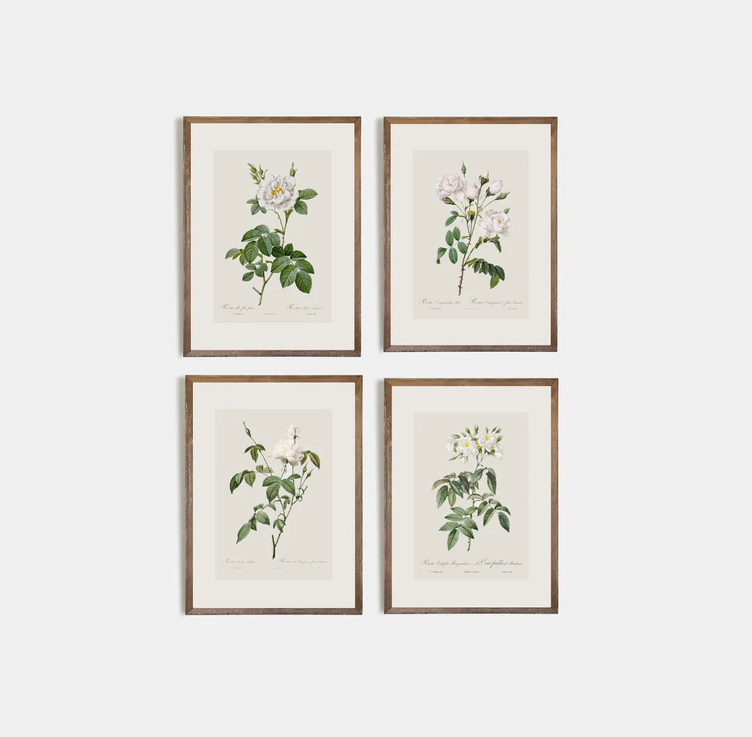 Minimalist Flower Drawing / Set of 4 / Vintage Rose / Vintage Botanical / Vintage Rose Drawing / ... | Etsy (Global)