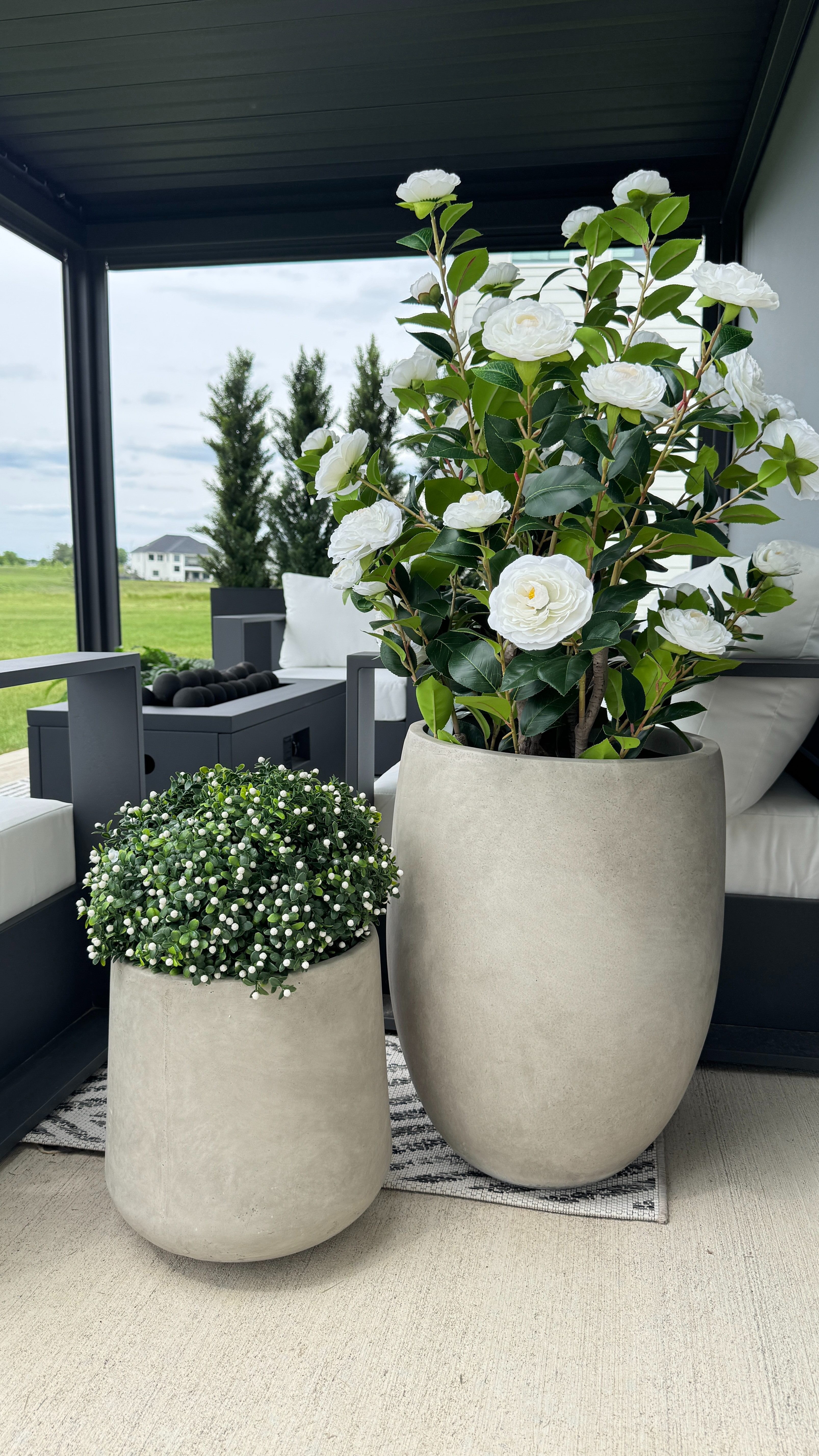 My flowering boxwood is on sale now 🤍 Such an easy way to bring greenery and softness to any space. 

 

#LTKSeasonal #LTKHome