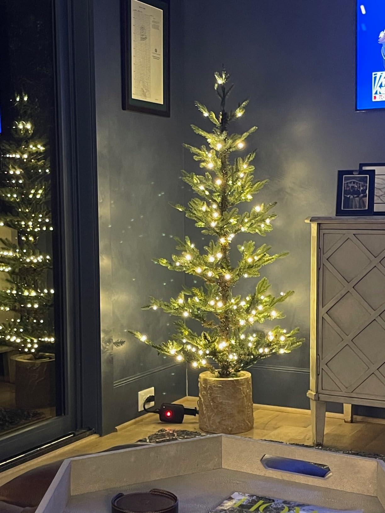 Haute Decor 5 Foot Pre-lit Timberland Fir Potted Christmas Tree | Amazon (US)