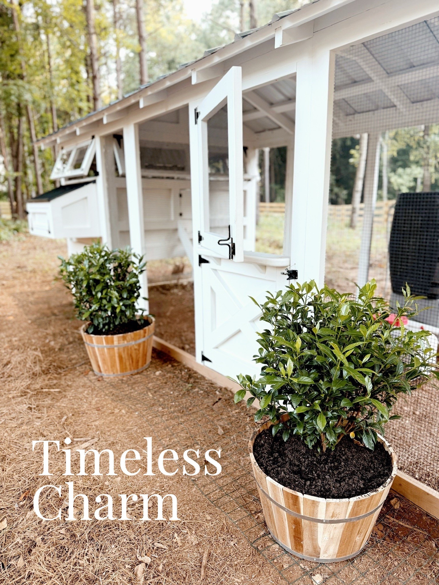 🌿 When farmhouse style meets timeless charm… this happens. A backyard structure that feels both practical and picture-perfect.

Do you want to bring our dreamy Modern Classic style interior design into your own home? 🏡 You’re in luck! Reserve our Online Interior Design packages today -> https://porcheandco.com/edesign ✨ We can’t wait to work with you & design your home with #porcheandco

#porcheandco #modernclassicstyle #farmhousedecor #backyardinspo #neutraldecorideas #farmhousedesign #countrylivingstyle #outdoorhomedecor #rusticmodern #interiordesign


#LTKvlog #LTKOver40 #LTKHome