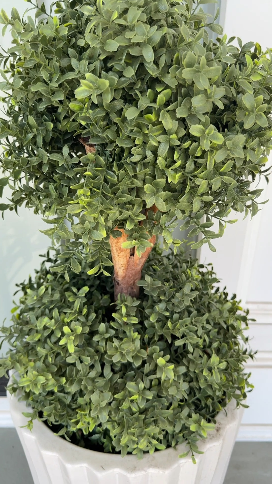 Amazon topiaries! We’ve had these for a few years and they’re great — I just ordered two others to try and LOVE them!! Linking both! Great for a front porch or an area if your backyard/patio where you can’t keep something real alive 🙌🏻

#LTKSeasonal #LTKSaleAlert #LTKHome