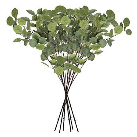 Royal Imports Artificial Silver Dollar Eucalyptus Stems, Long Greenery Leaves for Rustic Decor, Wedd | Walmart (US)