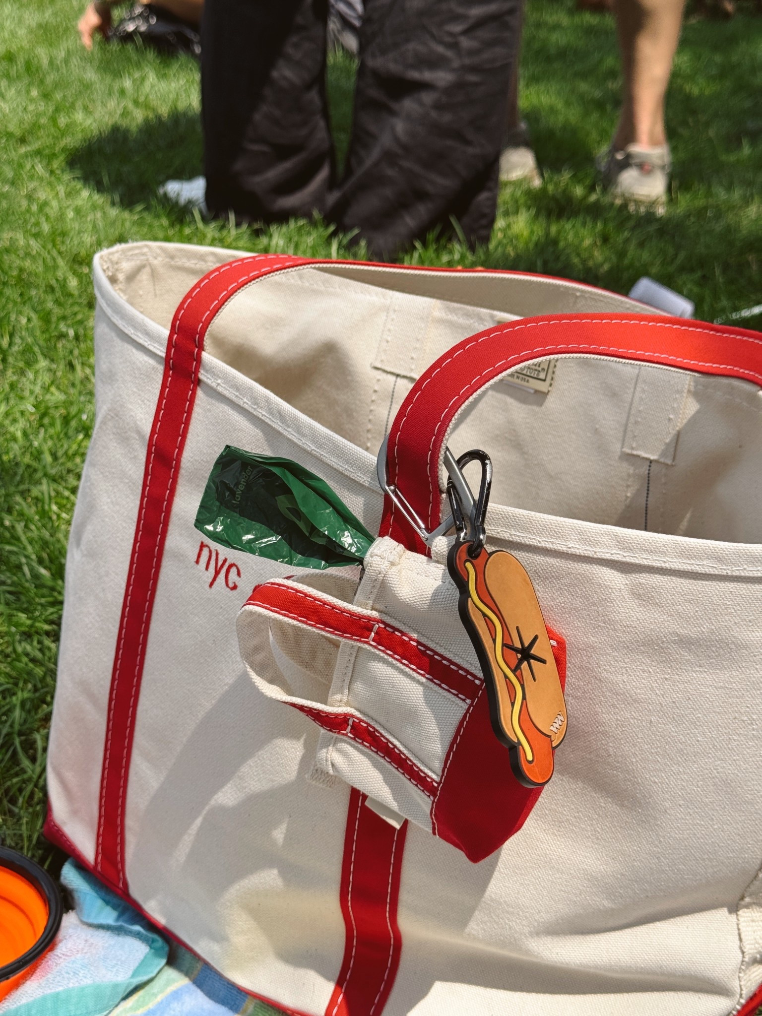 tote bag that doubles as a dog carrier!! 🤭🫶🏻

#LTKItBag #LTKFindsUnder100 #LTKTravel