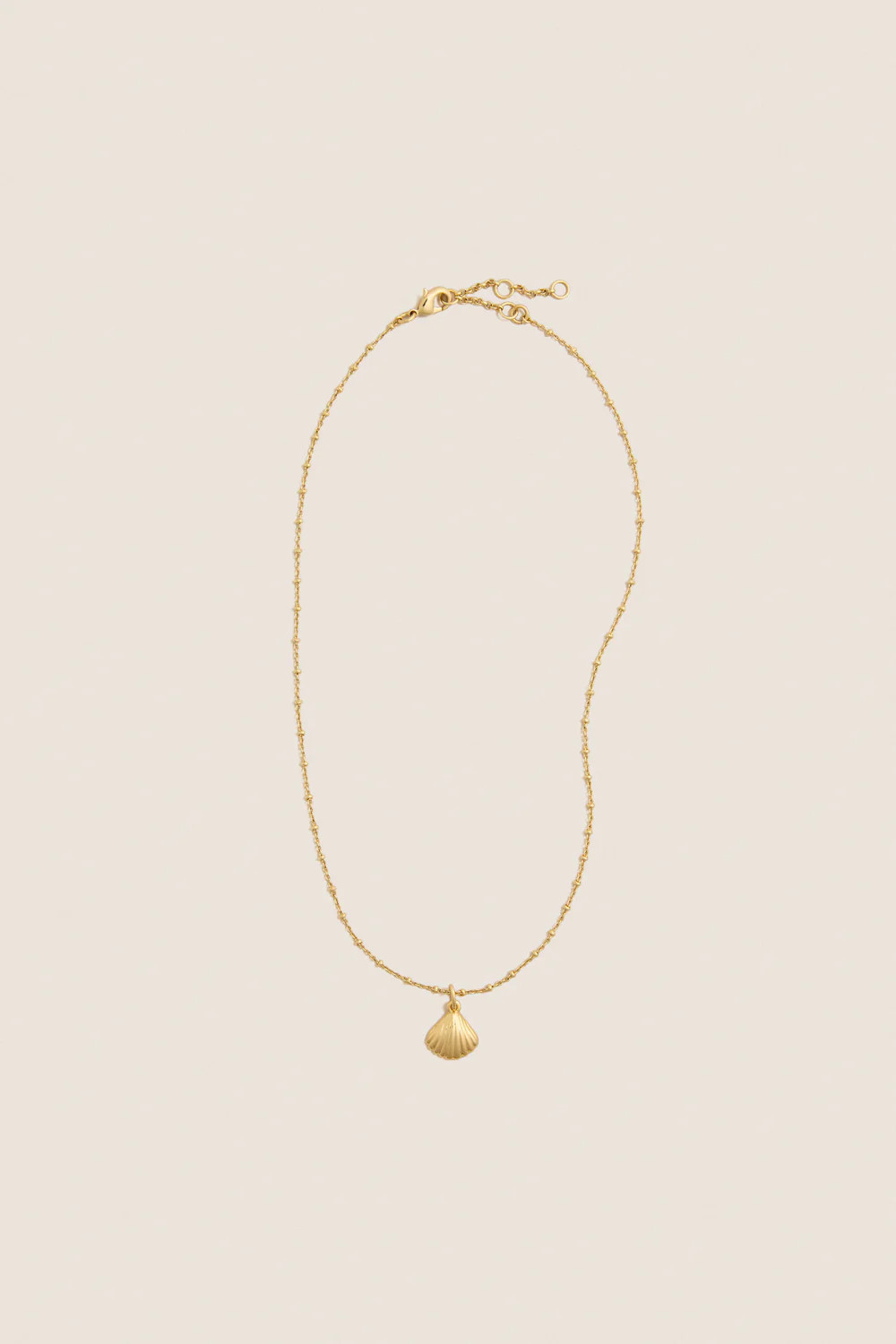 Gold Shell Bridget Necklace | Tuckernuck (US)