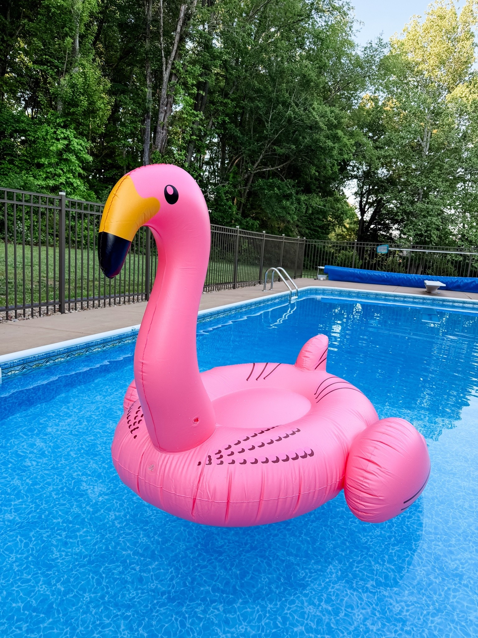 Ready to make a splash? These pool floats are perfect for summer fun! 🌞🌴

#LTKSwim #LTKKids