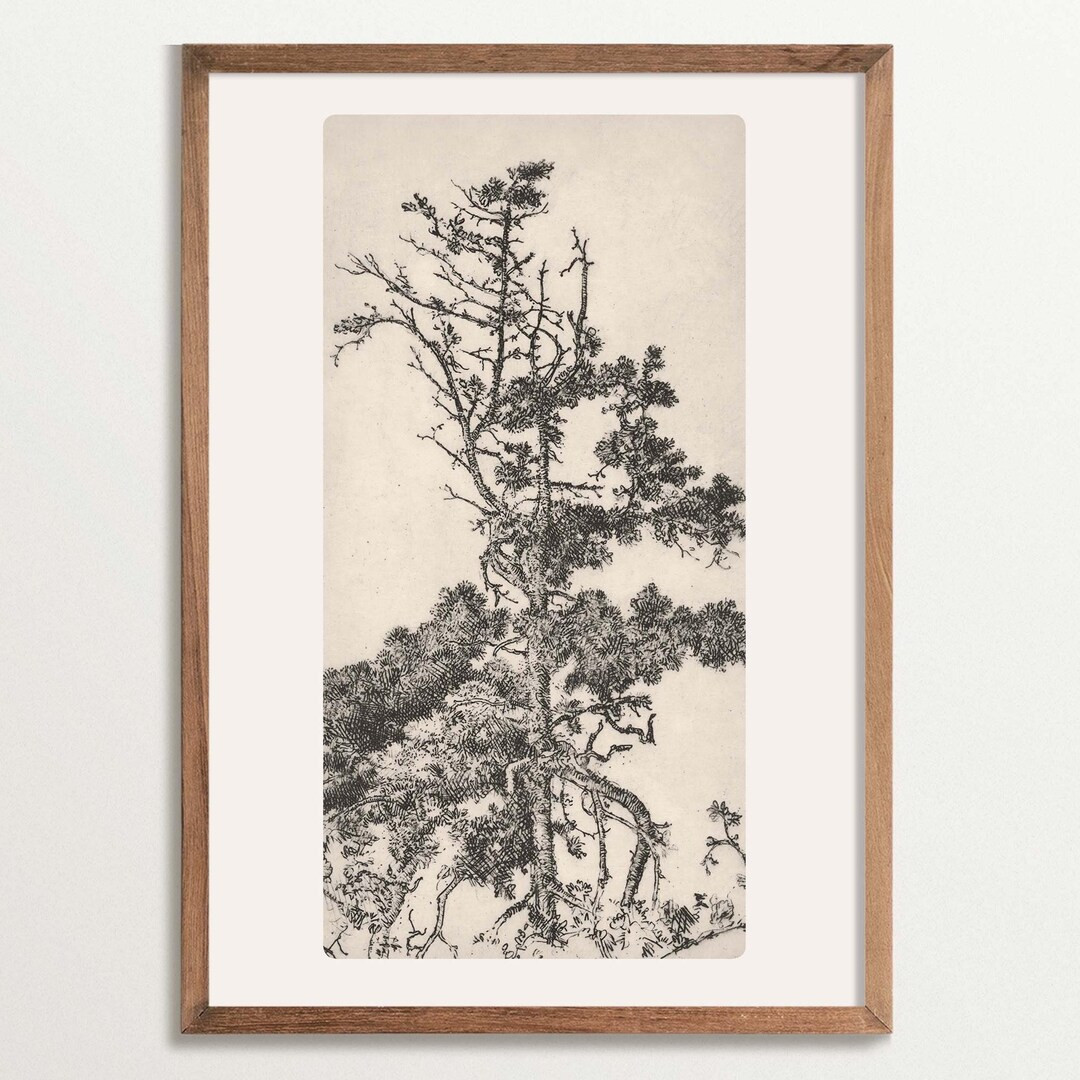 Vintage Tree Sketch Art Print, Cottagecore Decor, Tree Etching Wall Art | Etsy (US)