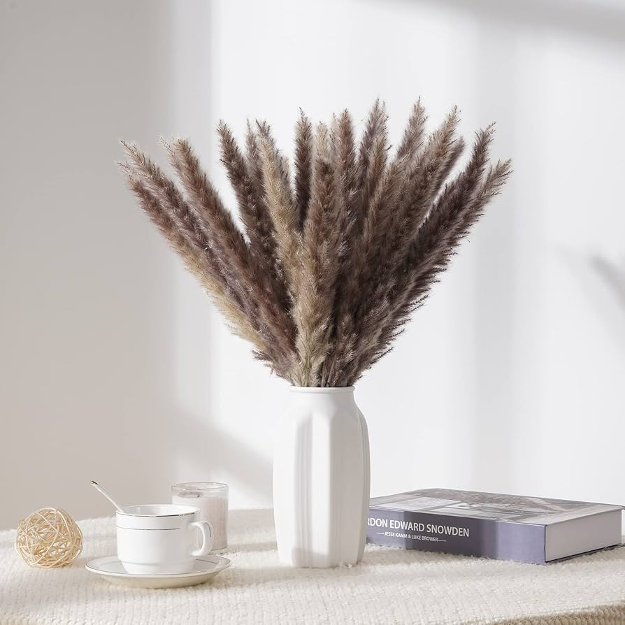 Alishomtll 25 Pcs Dried Pampas Grass Decor, Natural Brown Pampas Grass Boho Decor for Vase, Fluff... | Amazon (US)