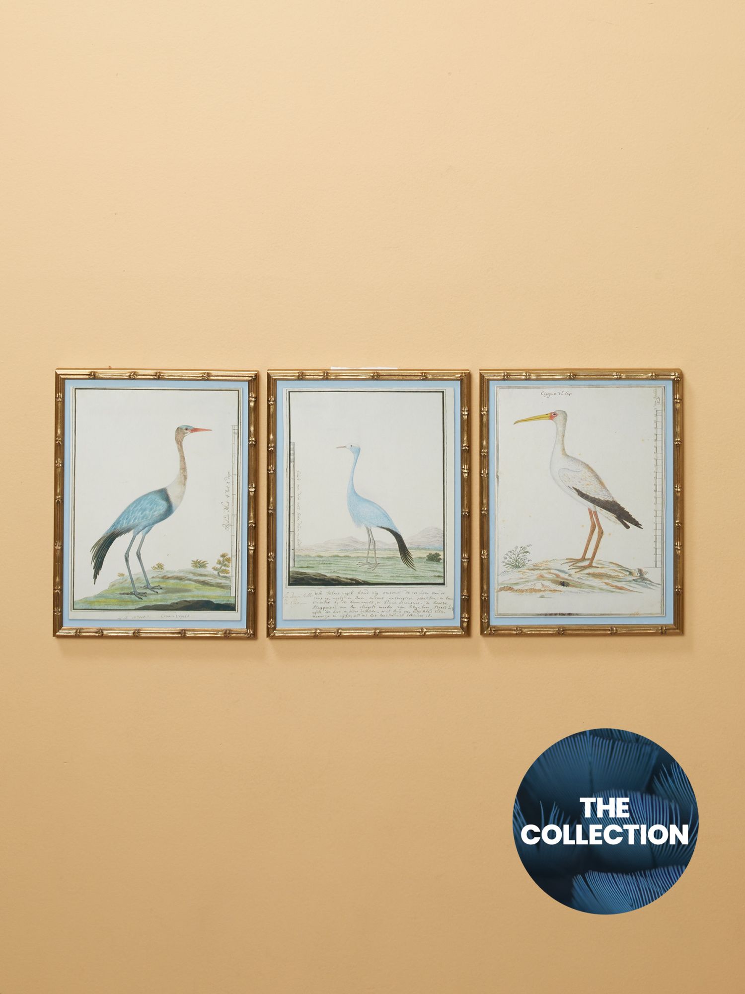 Made In Usa 3pc 13x17 Bird Drawings Circa 1777 Wall Art Set | Luxe Gifts | HomeGoods | HomeGoods