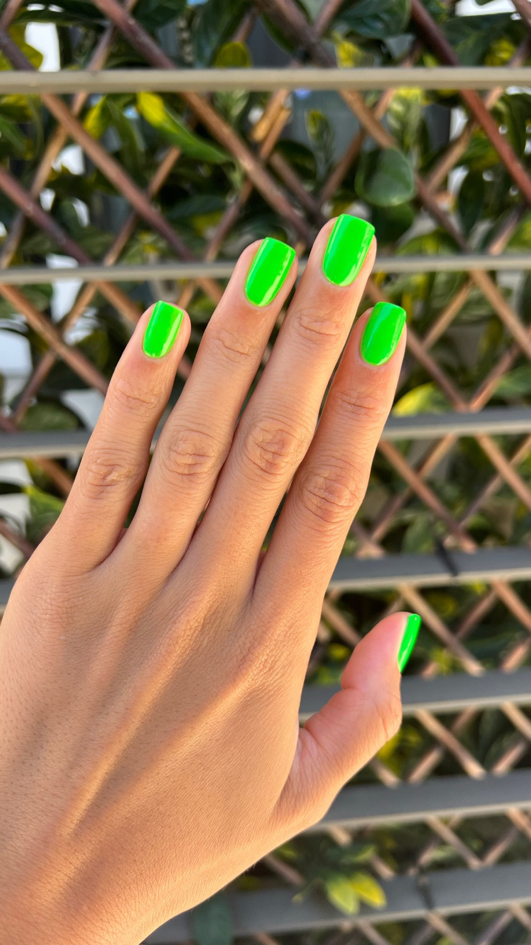 Add a bold pop of color to your nail collection with green polish—perfect for emerald nails, olive manicures, and trendy statement nails. 💚#nails 

#LTKgrwm #LTKselfcare #LTKBeauty