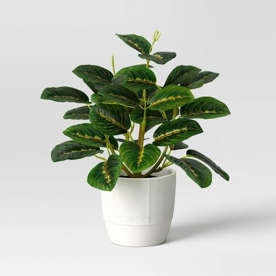 Small Artificial Prayer Plant - Threshold™ | Target