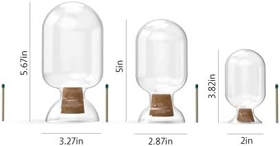 Mothers Day Gifts Small Clear Glass Match Cloche Jar - Fireplace Matches Holder with Striker - Fancy | Amazon (US)