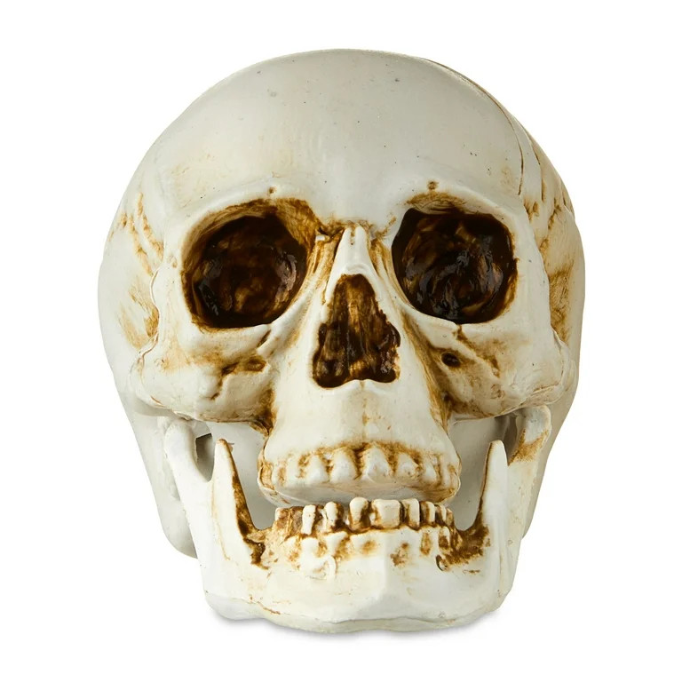 Halloween Faux Skull Decoration with Movable Jaw, 4", Way To Celebrate - Walmart.com | Walmart (US)