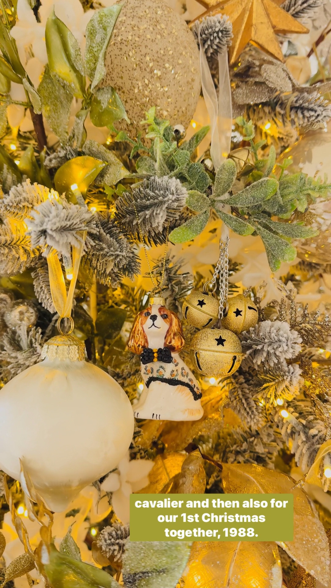 My Christmas tree 🎄

#LTKSaleAlert #LTKHoliday #LTKSeasonal