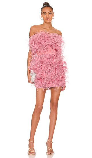 Feather Mini Dress in Rose | Revolve Clothing (Global)