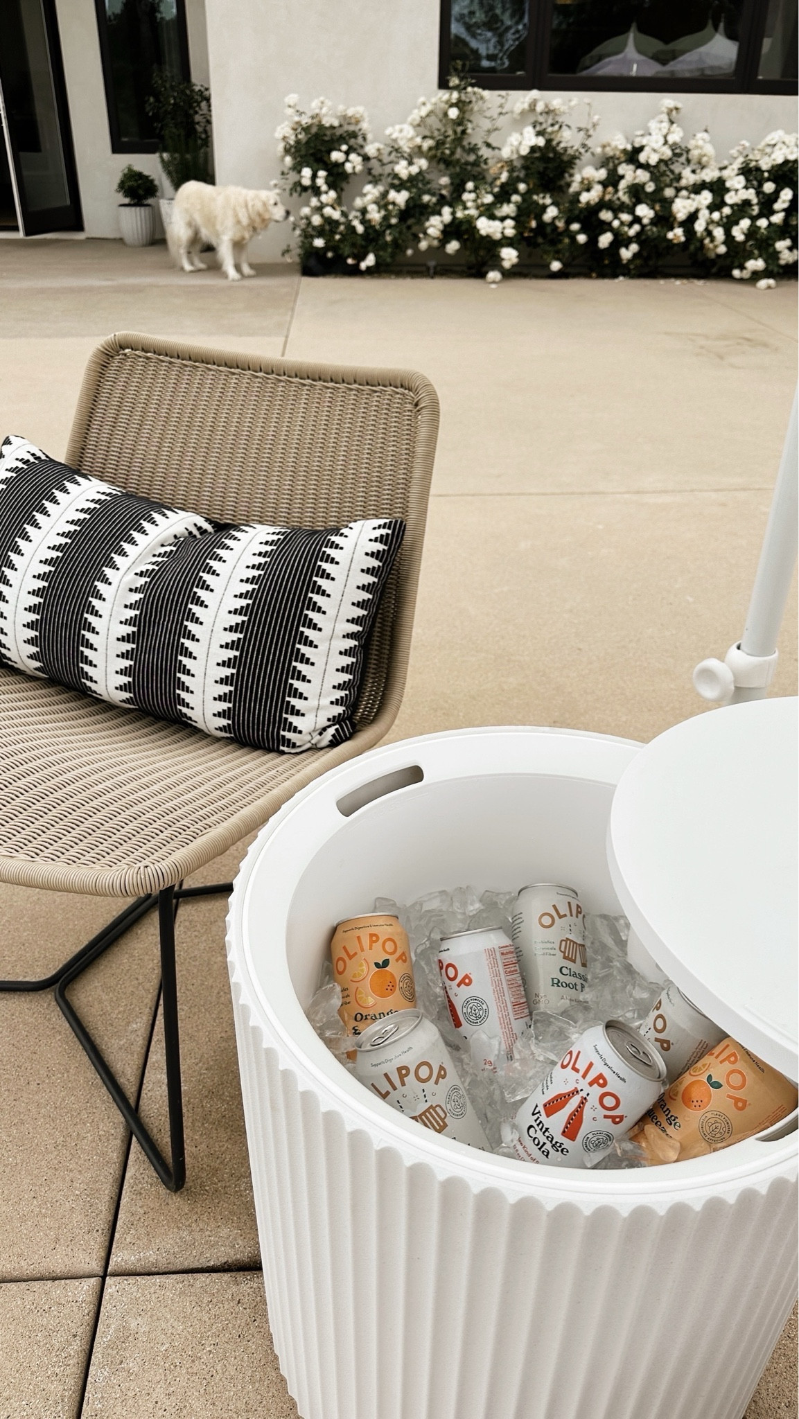 New from Amazon! #StylinbyAylin #Aylin 

#LTKStyleTip #LTKHome