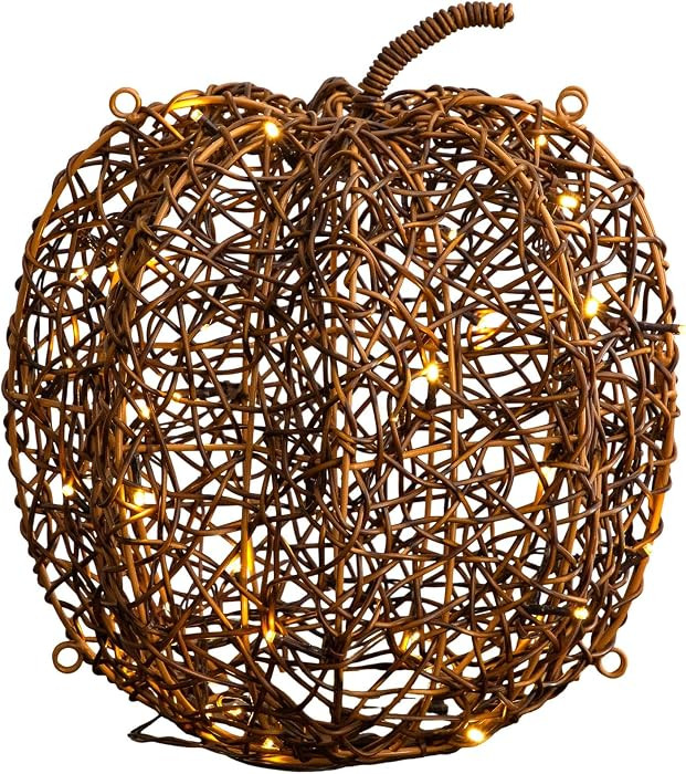 Nearly Natural 12in. Pre-Lit Autumn Rattan Fall Pumpkin with 40 Warm White LED Lights | Amazon (US)